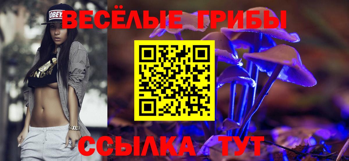 Галлюциногенные грибы GOLDEN TEACHER Зерноград