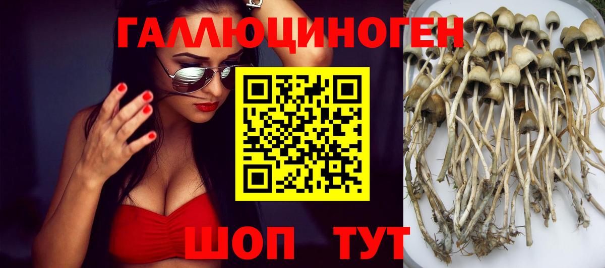 Зерноград  Псилоцибиновые грибы Magic Shrooms  Галлюциногенные грибы MAGIC MUSHROOMS  Вход с VPN 
