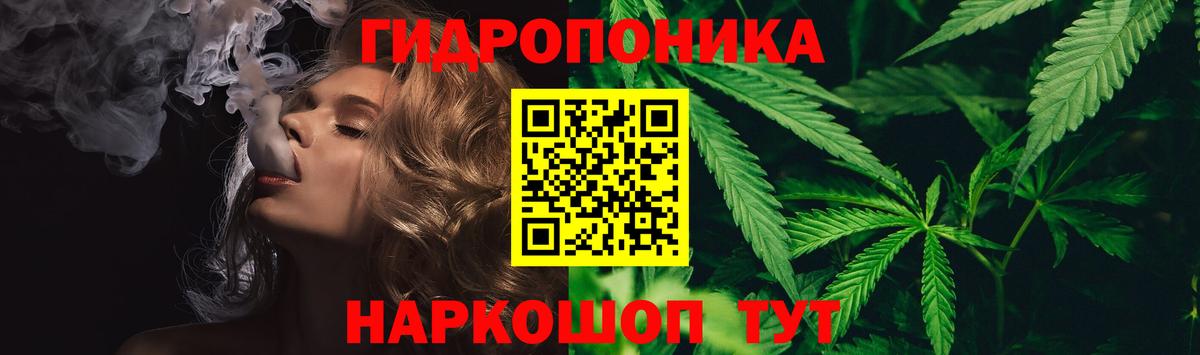 Зерноград  Конопля Ganja  Вход с VPN  Бошки Шишки конопля 
